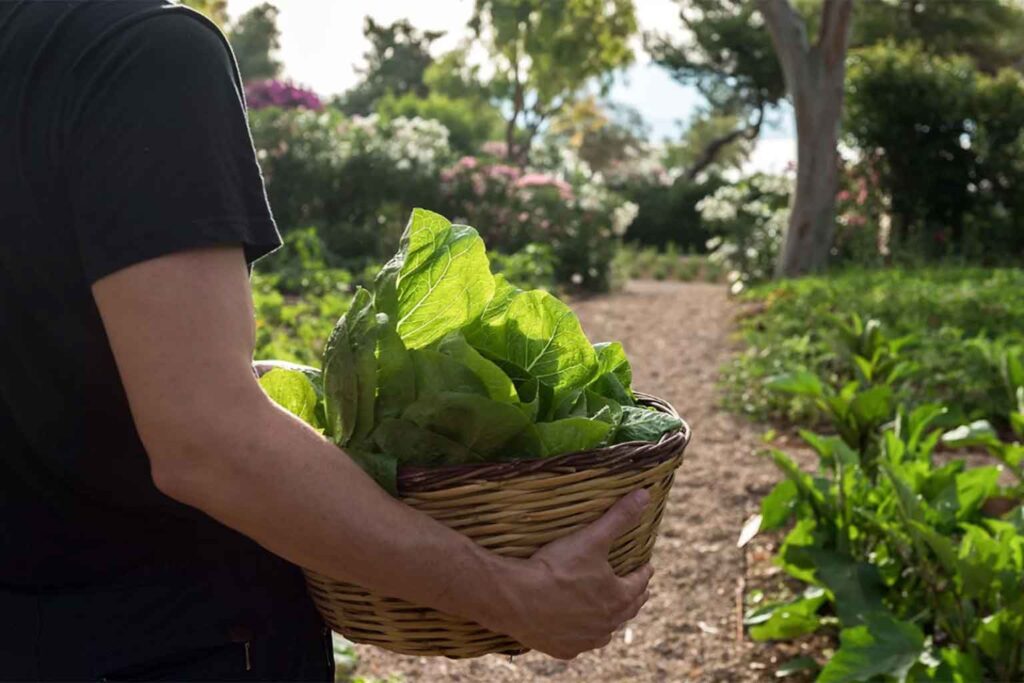 think green- sustainability
