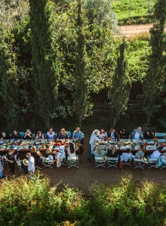 Dipnosofistirion and Dimitris Skarmoutsos offer and create the best menus for your wedding.